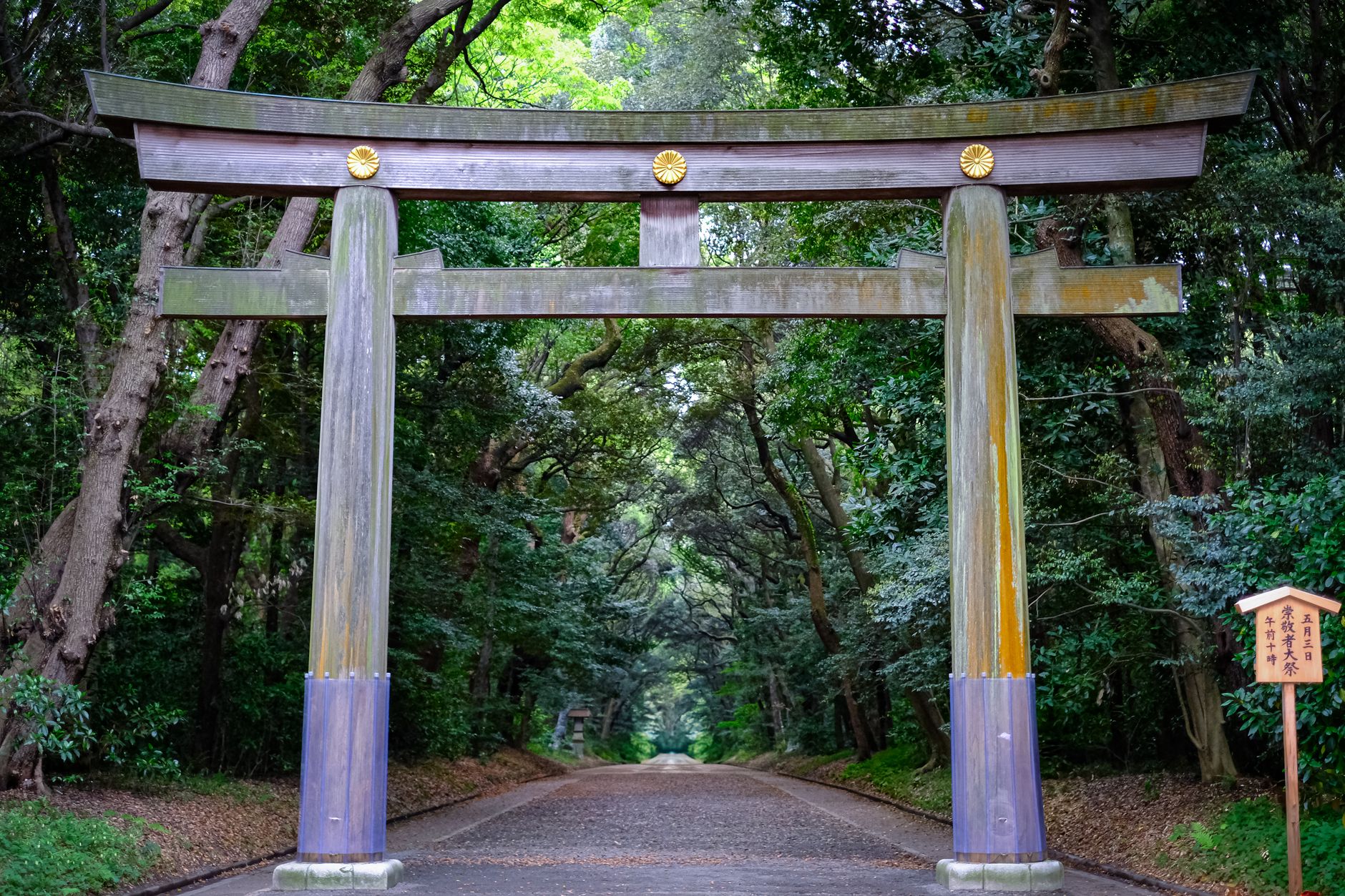 神社 参道 蛇 スピリチュアル