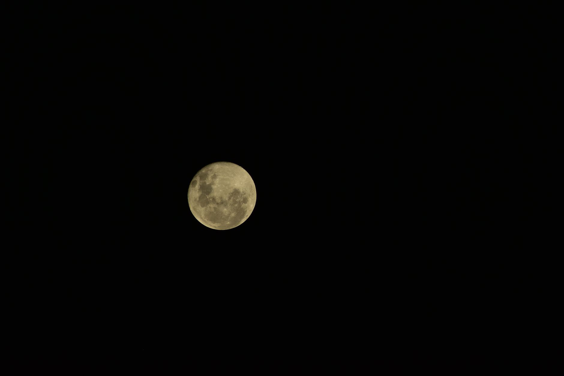 月星座 満月 占星術