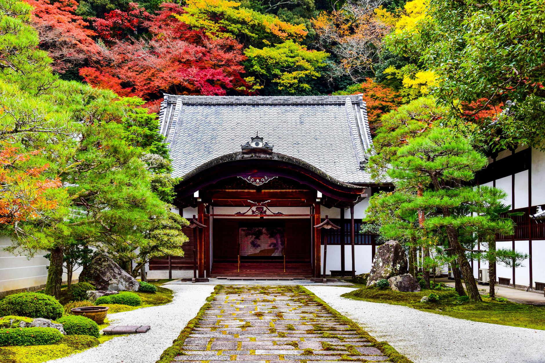 お寺 庭園 蛇 スピリチュアル