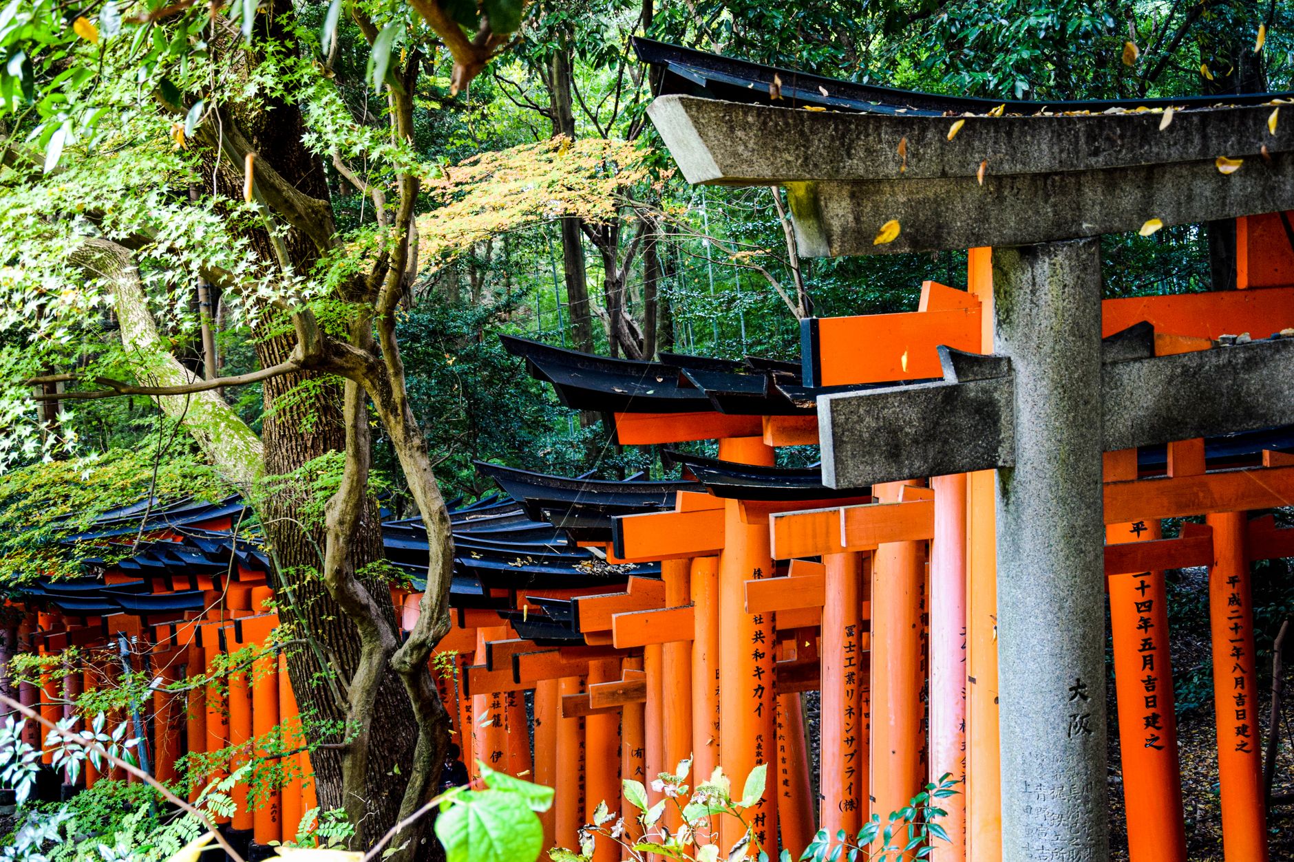 祇園祭 八坂神社 歴史 スピリチュアル 意味 京都