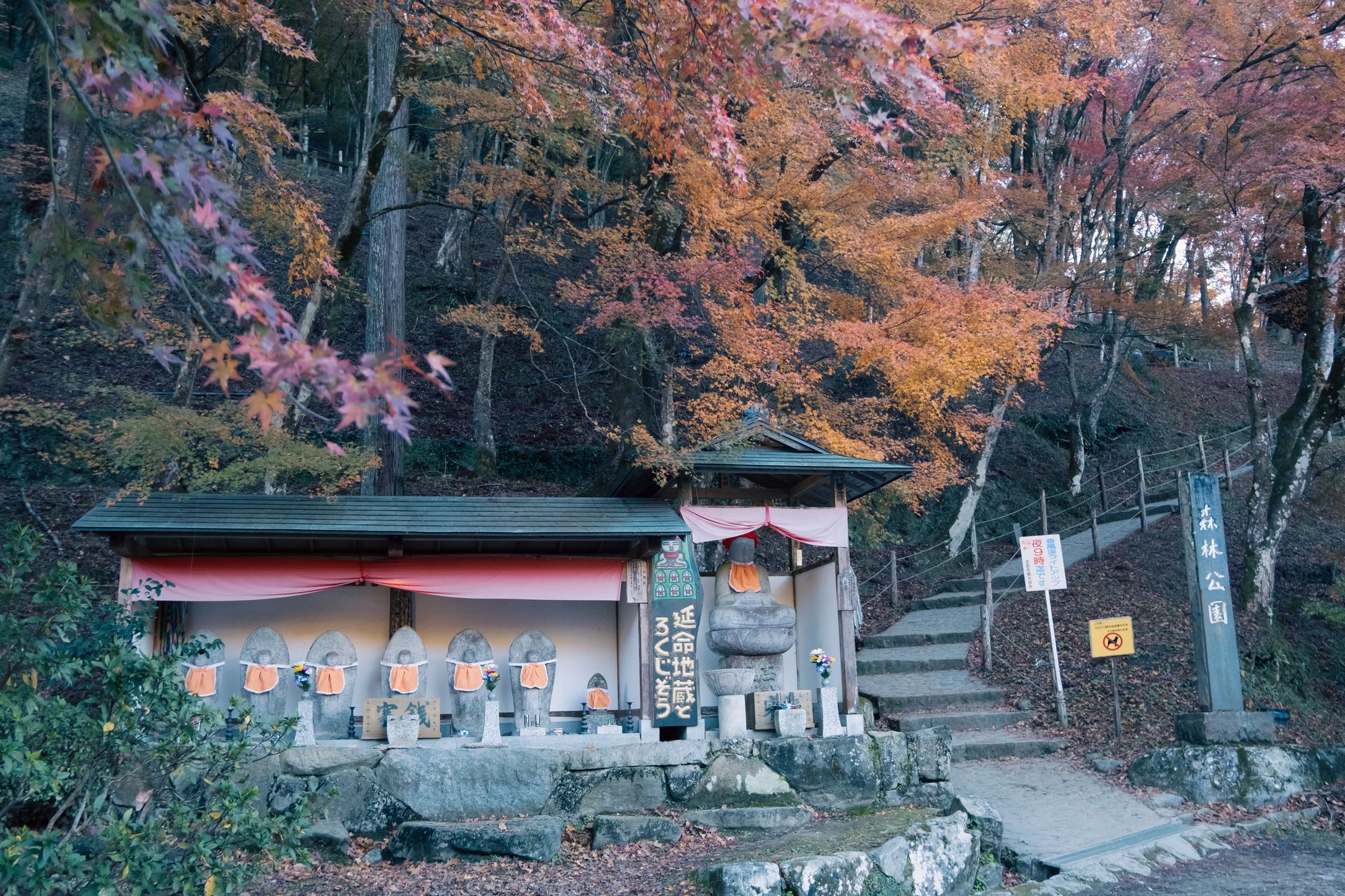 神社 秋 スピリチュアル