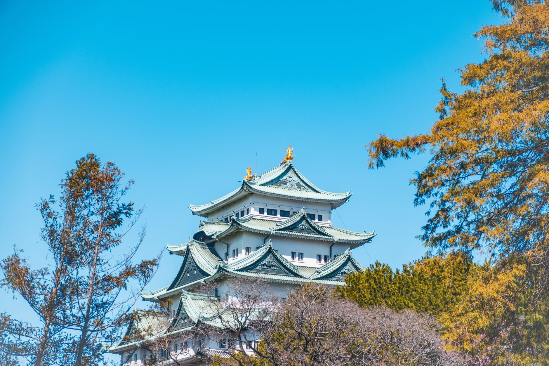 名古屋城 日本 パワースポット 歴史 開運 信長
