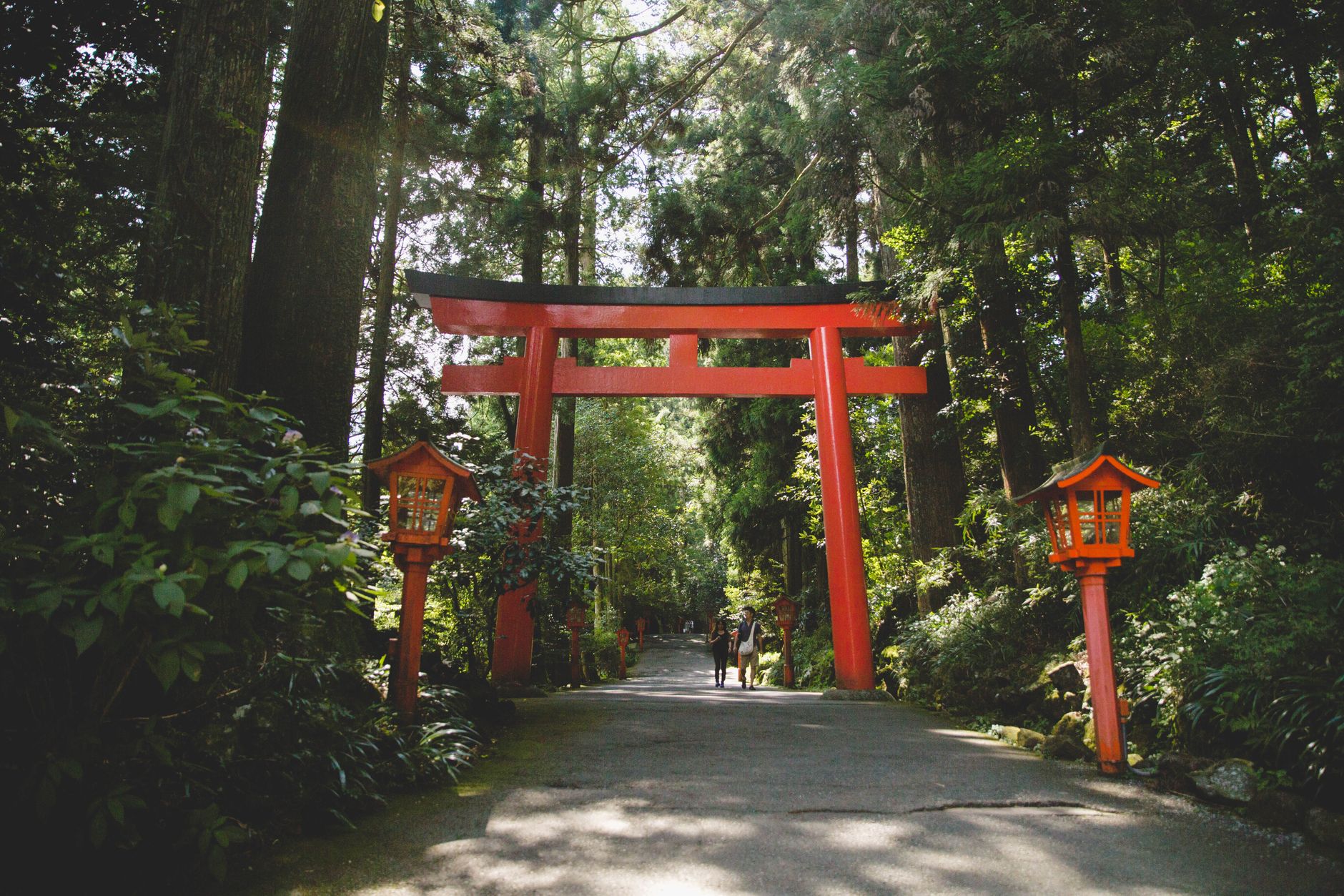 神社 参拝 パワースポット 日本 スピリチュアル エネルギー 森