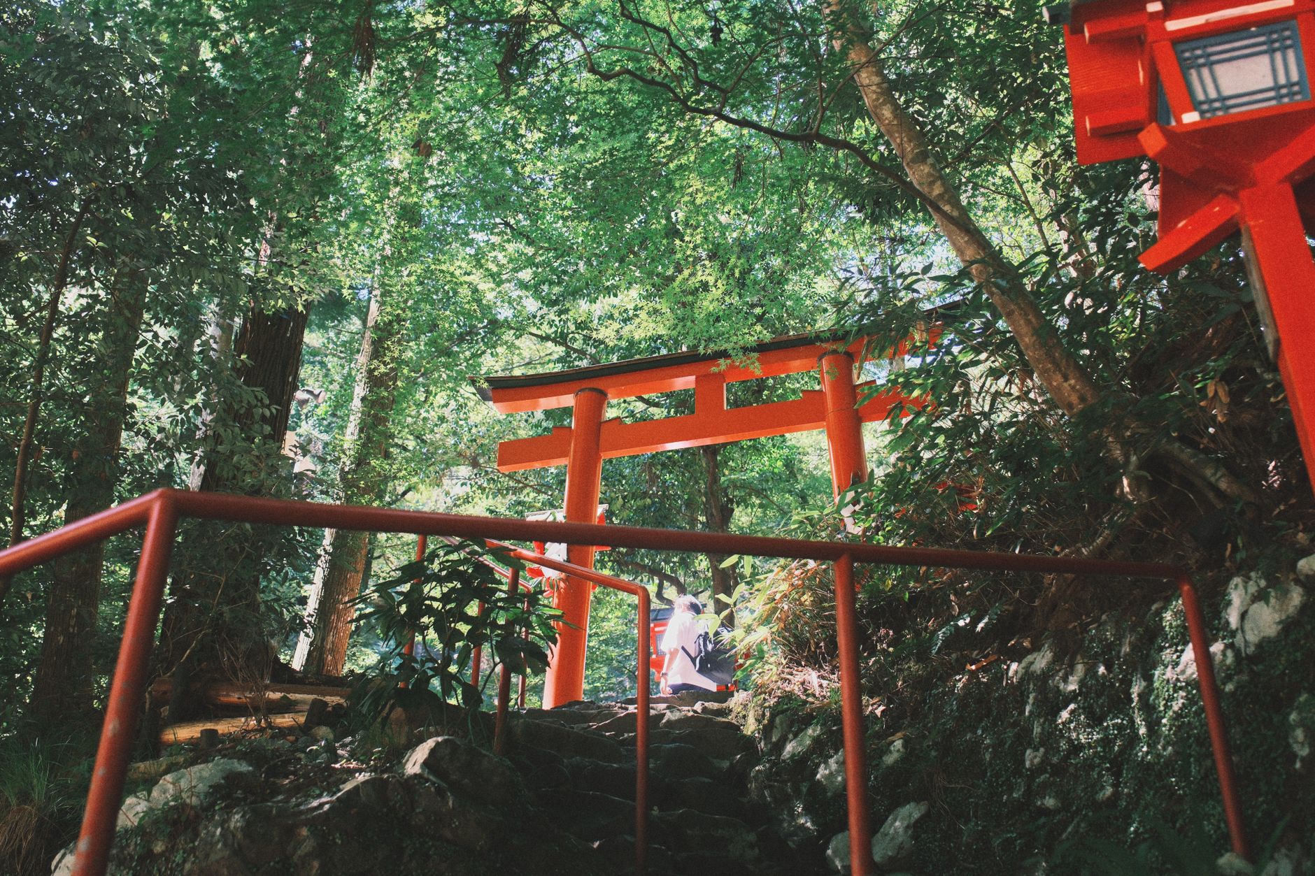 名古屋 神社 参拝 パワースポット 夏 土用 開運